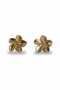 Boucles d'oreilles "Frangipane"